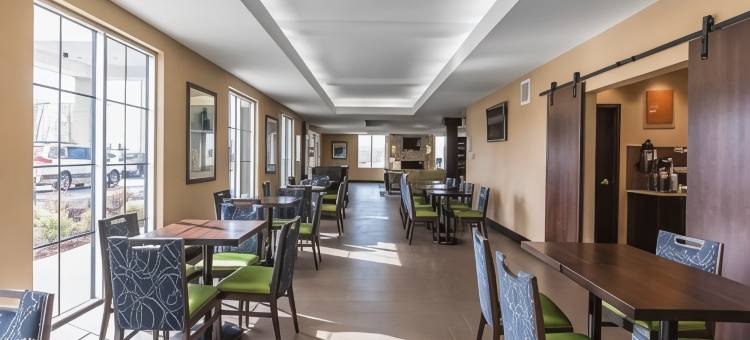 舒适酒店及套房-机场北(Comfort Inn & Suites Airport North)图片