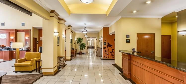 斯塔福德舒格兰舒眠套房酒店(Sleep Inn & Suites Stafford - Sugarland)图片