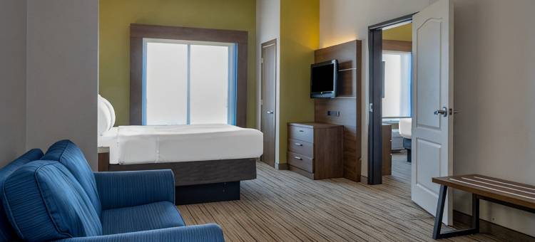 智选假日套房酒店达拉斯东(Holiday Inn Express & Suites Dallas East - Fair Park)图片