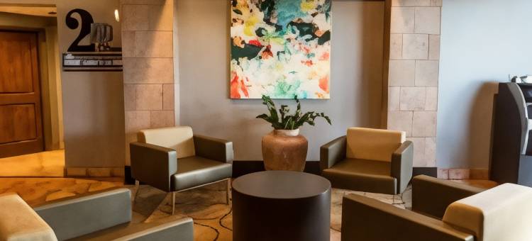 迈克艾伦希尔顿逸林套房酒店(DoubleTree Suites by Hilton McAllen)图片