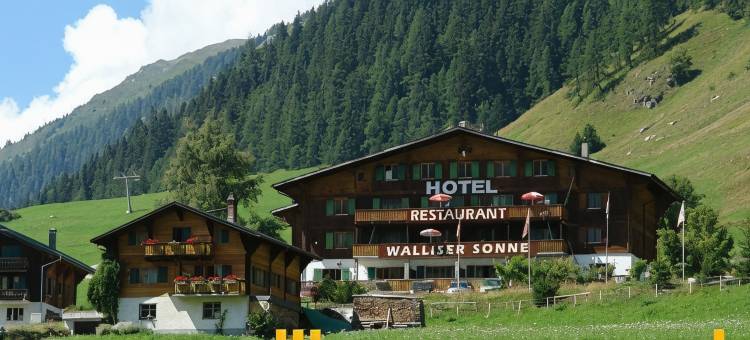 瓦里赛尔桑尼餐厅酒店(Hotel Restaurant Walliser Sonne)图片