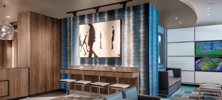 Fairfield Inn & Suites Chicago Downtown/Magnificent Mile图片