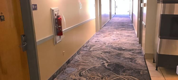 都柏林骑士套房酒店(Knights Inn & Suites Dublin)图片