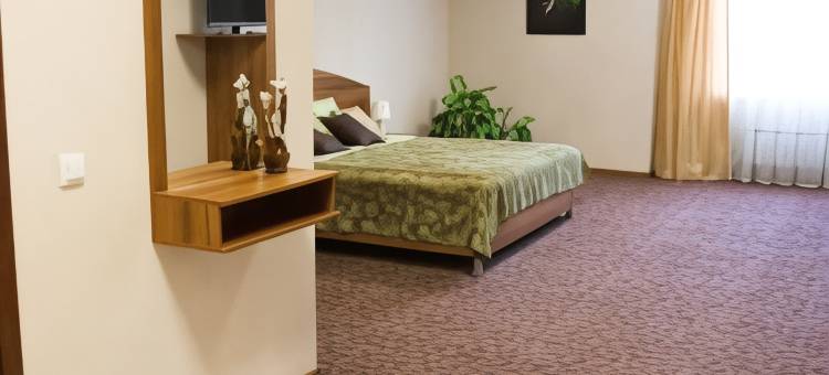 克莱佛酒店及旅馆(Hotel & Hostel Klever)图片