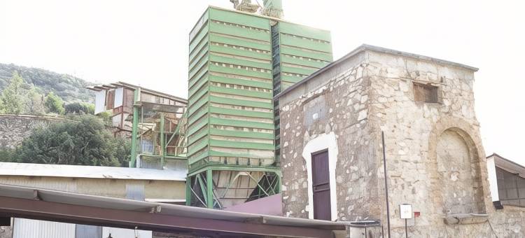 戈维特学生宿舍(Student's Hostel Gowett)图片