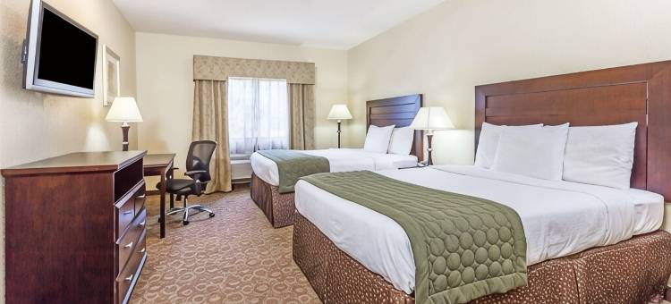 格兰德洲际酒店及套房(GRANDER INN & SUITES by IHG)图片