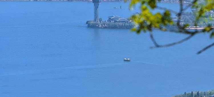 华美庭院·雪野湖民宿图片