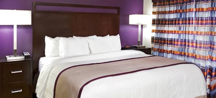 福克斯波罗Residence Inn 酒店(Residence Inn Boston Foxborough)图片
