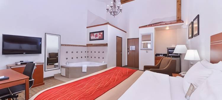 阿拉莫萨舒适套房酒店(Comfort Inn & Suites Alamosa)图片