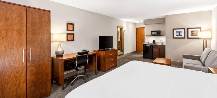 西部舒适酒店(Comfort Inn West)图片