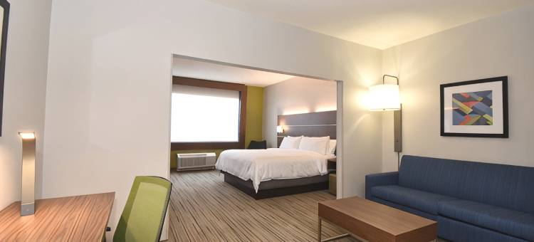 智选假日套房酒店南部的杉木树丛区(Holiday Inn Express & Suites SOUTHERN PINES-PINEHURST AREA by IHG)图片