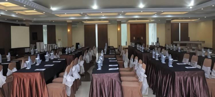 日正高级酒店(Rizen Premiere Hotel)图片