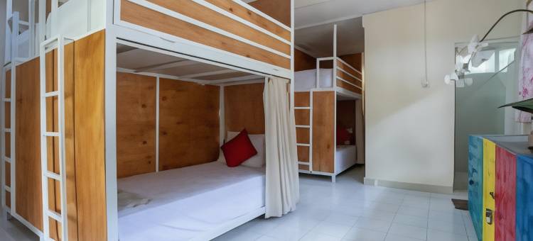 努舍旅舍及客房(Nushe Hostel & Room)图片
