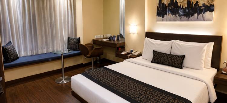 拉杰克特马拉萨萨罗瓦尔门廊酒店(Marasa Sarovar Portico  Rajkot)图片