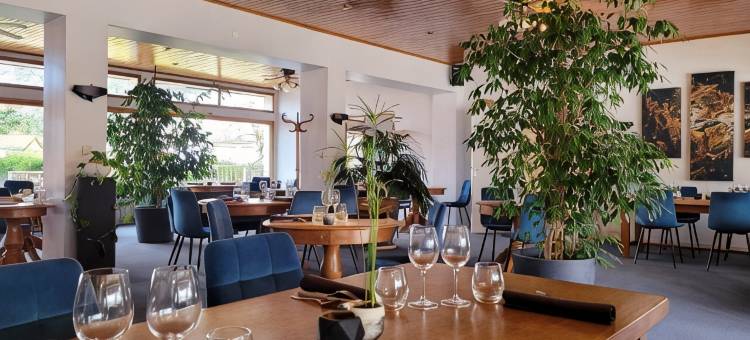 莱斯格利西尼斯酒店(Hotel Restaurant les Glycines)图片