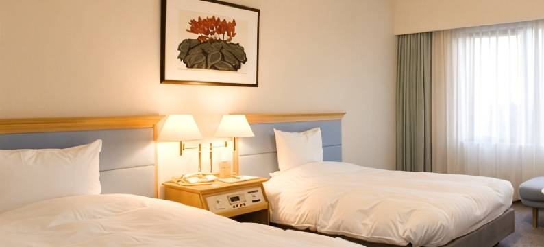 哈马兹酒店(Hotel Hamatsu)图片
