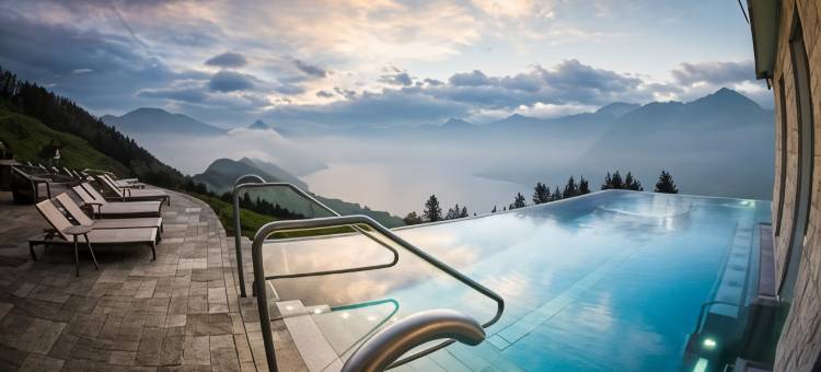 霍尼格别墅(Hotel Villa Honegg)图片