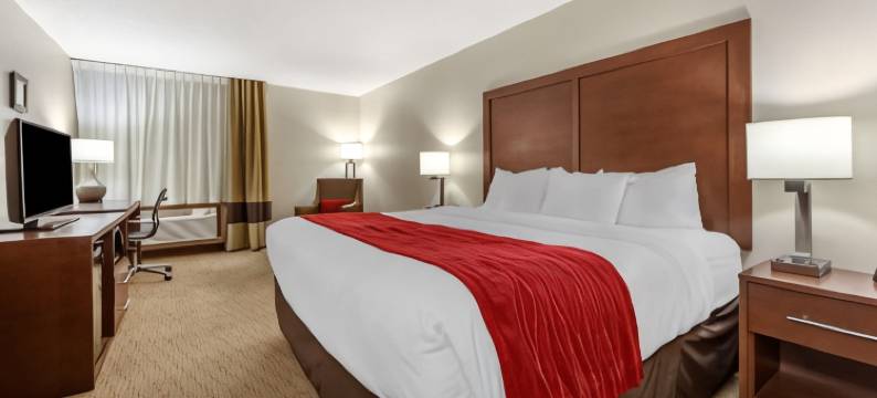 瓦伦廷舒适酒店(Comfort Inn)图片