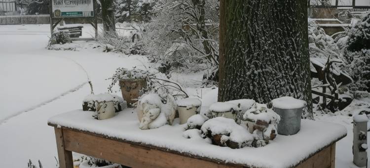 巴德格列普肖普酒店(Hotel Bad Griepshop)图片