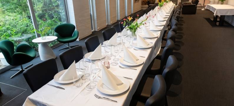 海宁海豚酒店(Dolphin Hotel Herning)图片