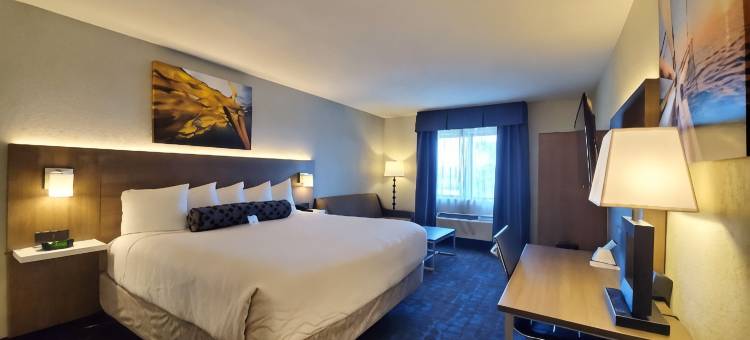 好莱坞/探险贝斯特韦斯特优质酒店(Best Western Plus Hollywood/Aventura)图片
