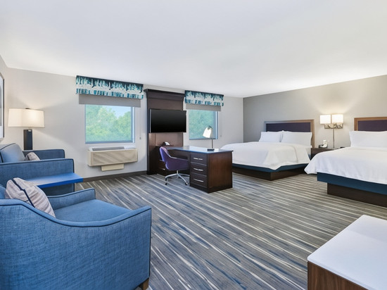 希尔顿欢朋套房酒店-弗林特大布兰克