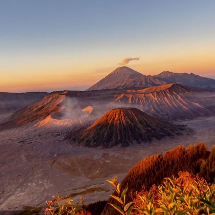 印度尼西亚日惹特区+婆罗浮屠+普兰巴南寺+泗水+布罗莫火山+伊真火山+赛武千层瀑布+佩妮达岛8日7晚跟团游