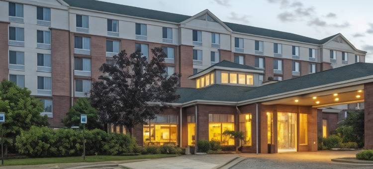 底特律地铁机场希尔顿花园客栈酒店(Hilton Garden Inn Detroit Metro Airport)图片