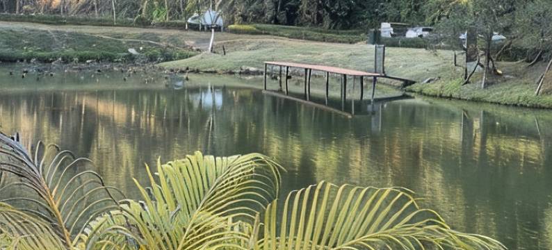 何姐姐的民宿(西景线分店)图片