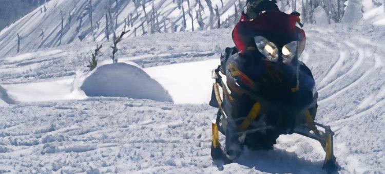 库特奈河贝斯特韦斯特优质娱乐场酒店及水疗中心(Best Western Plus Kootenai River Inn Casino  Spa)图片