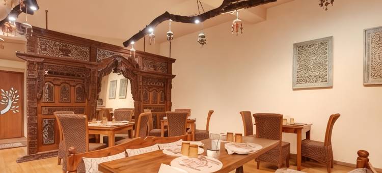 树屋度假村(The Tree House Resort)图片