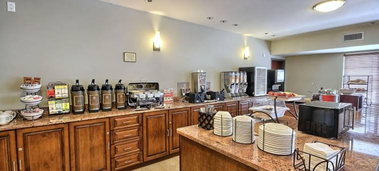 丽笙乡村套房酒店-密歇根州迪尔伯恩(Country Inn & Suites by Radisson, Dearborn, MI)图片