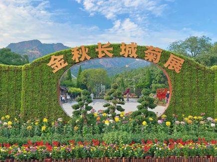 秦皇島秋色限時賞，絕美場景等你解鎖