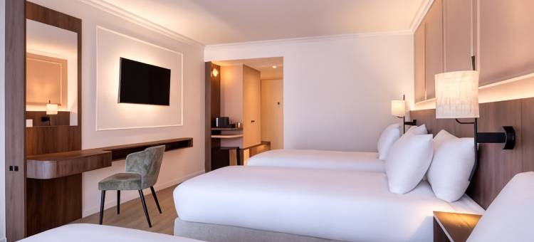 德美第奇金色郁金香酒店(Golden Tulip Hotel de Medici)图片