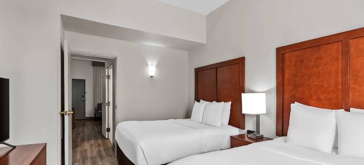 舒适套房酒店-近涅尔波托马克米尔斯(Comfort Suites Near Potomac Mills)图片