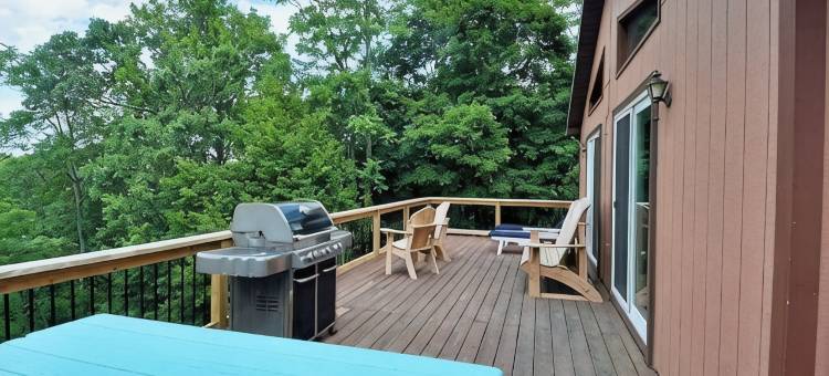 木屋 风景优美！台球桌 - 户外火炉 - 可直达河畔 - 游戏厅(Scenic VIEWS! Pool table - Fire Pit - River Access - Arcade)图片