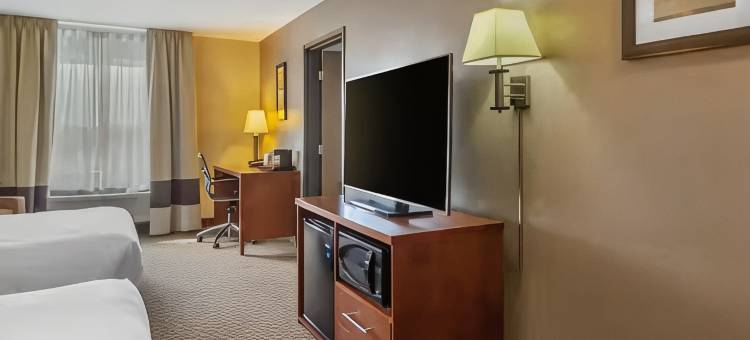 斯特灵舒适套房酒店(Comfort Inn & Suites Sterling)图片
