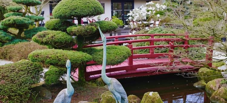 丹日式花园(Den Japanske Have B & B)图片