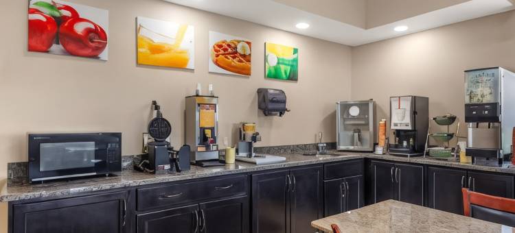 圣路易斯凯西维尔凯艺套房酒店(Quality Inn & Suites Caseyville - St. Louis)图片
