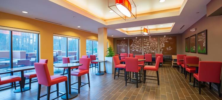 纽南TownePlace套房酒店(TownePlace Suites Newnan)图片