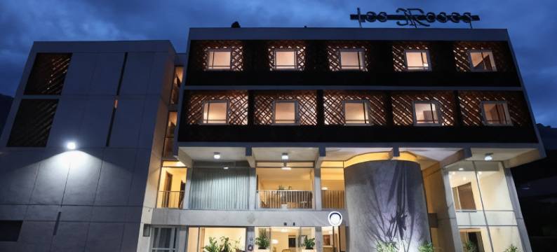 原创精品 - 格勒诺布尔梅朗三朵玫瑰酒店(Hôtel les Trois Roses, Meylan Grenoble)图片