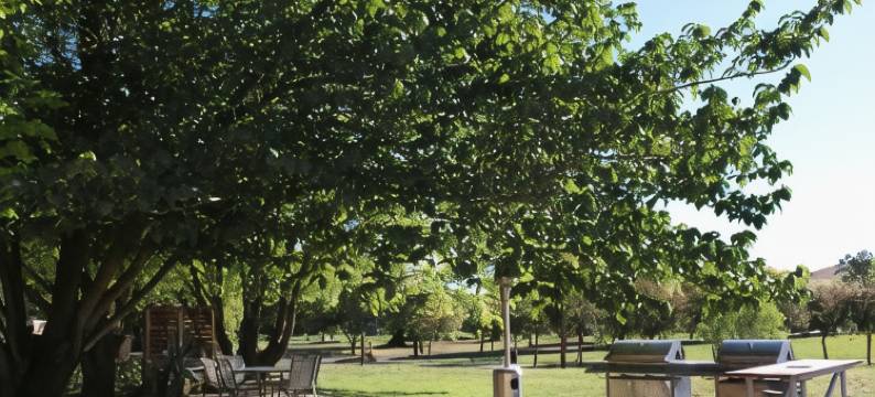 金矿汽车旅馆(Goldfields Motel)图片