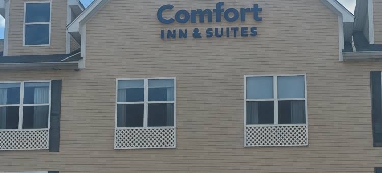 舒适套房酒店(Comfort Inn & Suites)图片