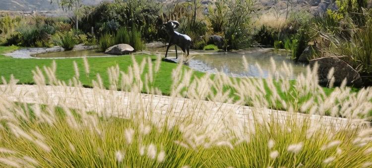 洛杉辛科恩布罗斯酒店(Los Cinco Enebros)图片