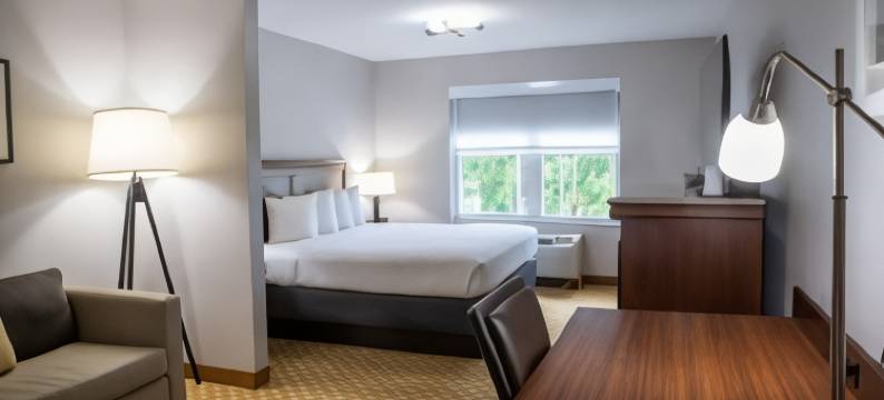 威尔明顿丽怡酒店(Country Inn & Suites by Radisson, Wilmington, NC)图片