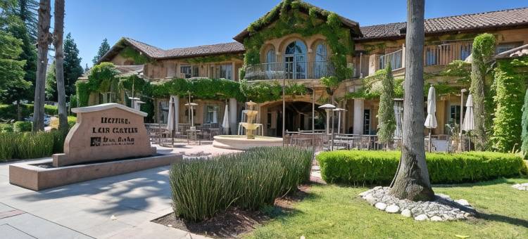 洛思加图斯酒店(Hotel Los Gatos)图片