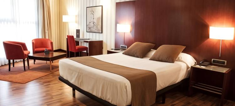 泽尼特莱里达酒店(Zenit Lleida)图片