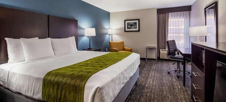 岩石丘贝斯特韦斯特酒店(Best Western Rock Hill)图片