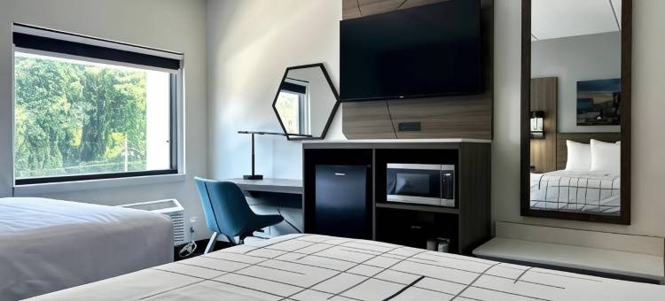 亚特兰大罗斯韦尔拉昆塔温德姆套房酒店(La Quinta Inn & Suites by Wyndham Atlanta Roswell)图片