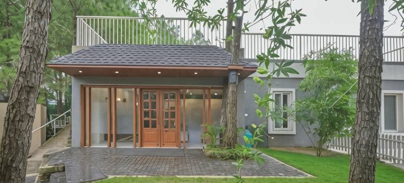 丛林小屋(Jungle Lodge Resort)图片